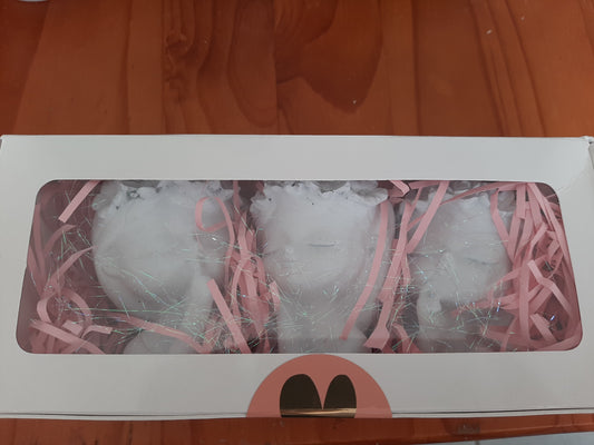 Gift box with 3 x cement pots (90mm height)