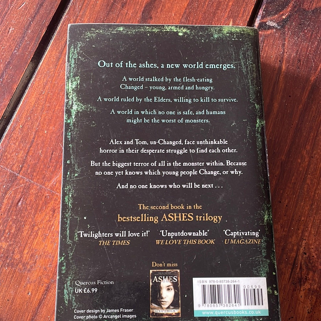 Ilsa J Bick - Shadows, Ashes and Monsters