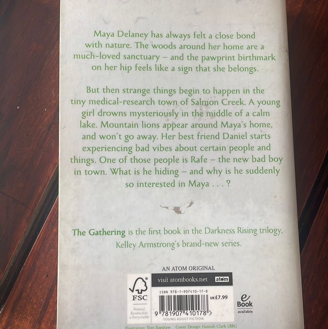 Kelly Armstrong - A Darkness Rising (3 books).