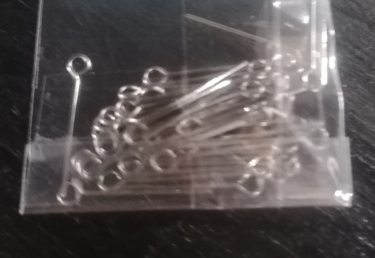 PINS